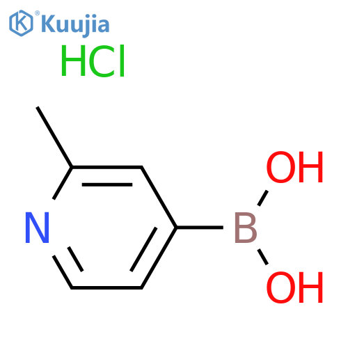 2-Picoline-4-boronic acidHCl structure
