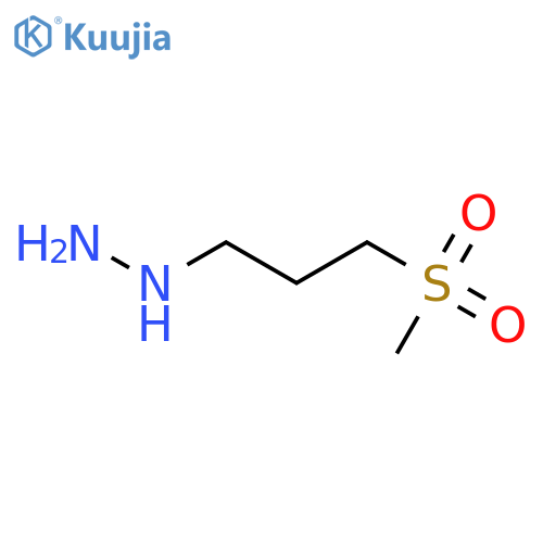 (3-methanesulfonylpropyl)hydrazine structure