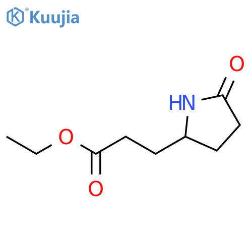ethyl 3-(5-oxopyrrolidin-2-yl)propanoate structure