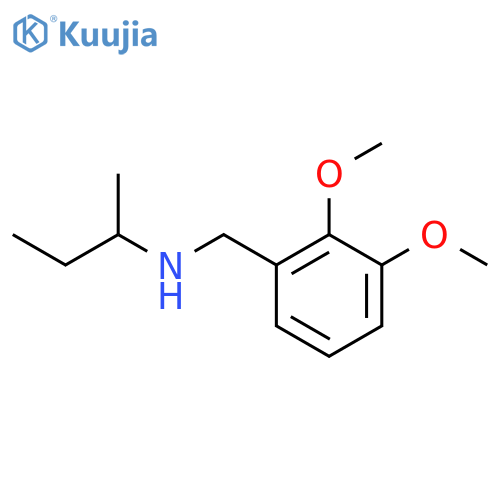 N-[(2,3-Dimethoxyphenyl)methyl]butan-2-amine structure