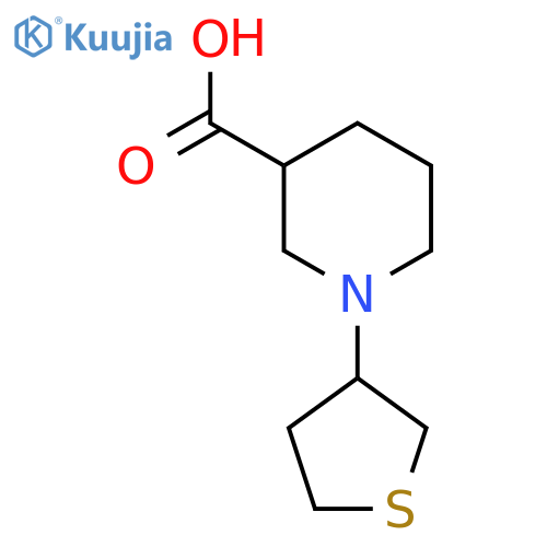 1-(tetrahydrothiophen-3-yl)piperidine-3-carboxylic acid structure