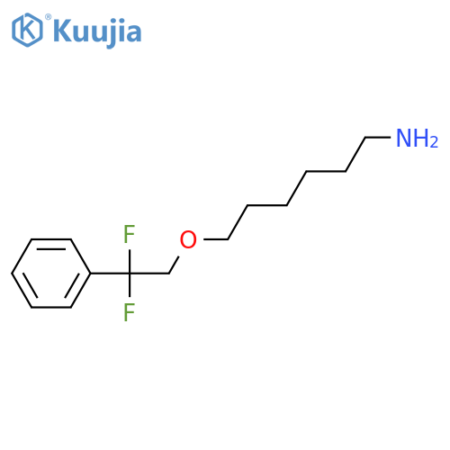 6-(2,2-Difluoro-2-phenylethoxy)hexan-1-amine structure