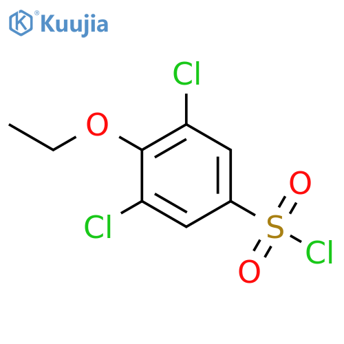 3,5-DICHLORO-4-ETHOXYBENZENE-1-SULFONYL CHLORIDE structure