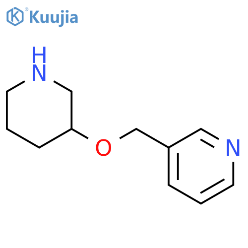 3-(piperidin-3-yloxy)methylpyridine structure