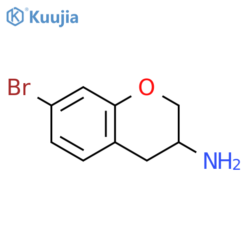 2H-1-BENZOPYRAN-3-AMINE,7-BROMO-3,4-DIHYDRO- structure
