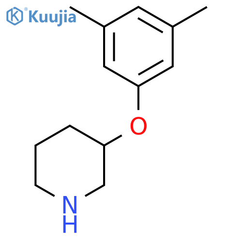 3-(3,5-Dimethylphenoxy)piperidine structure