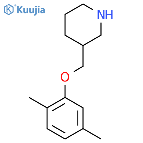 3-[(2,5-Dimethylphenoxy)methyl]piperidine structure